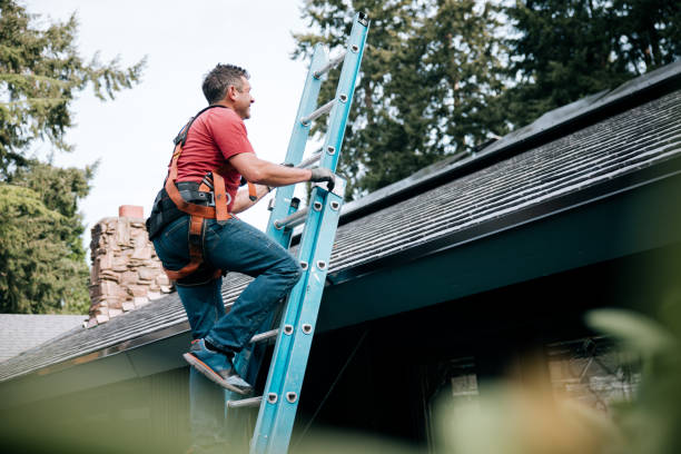 Professional Roofing in Ship Bottom, NJ